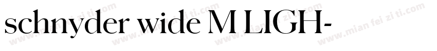 schnyder wide M LIGH字体转换